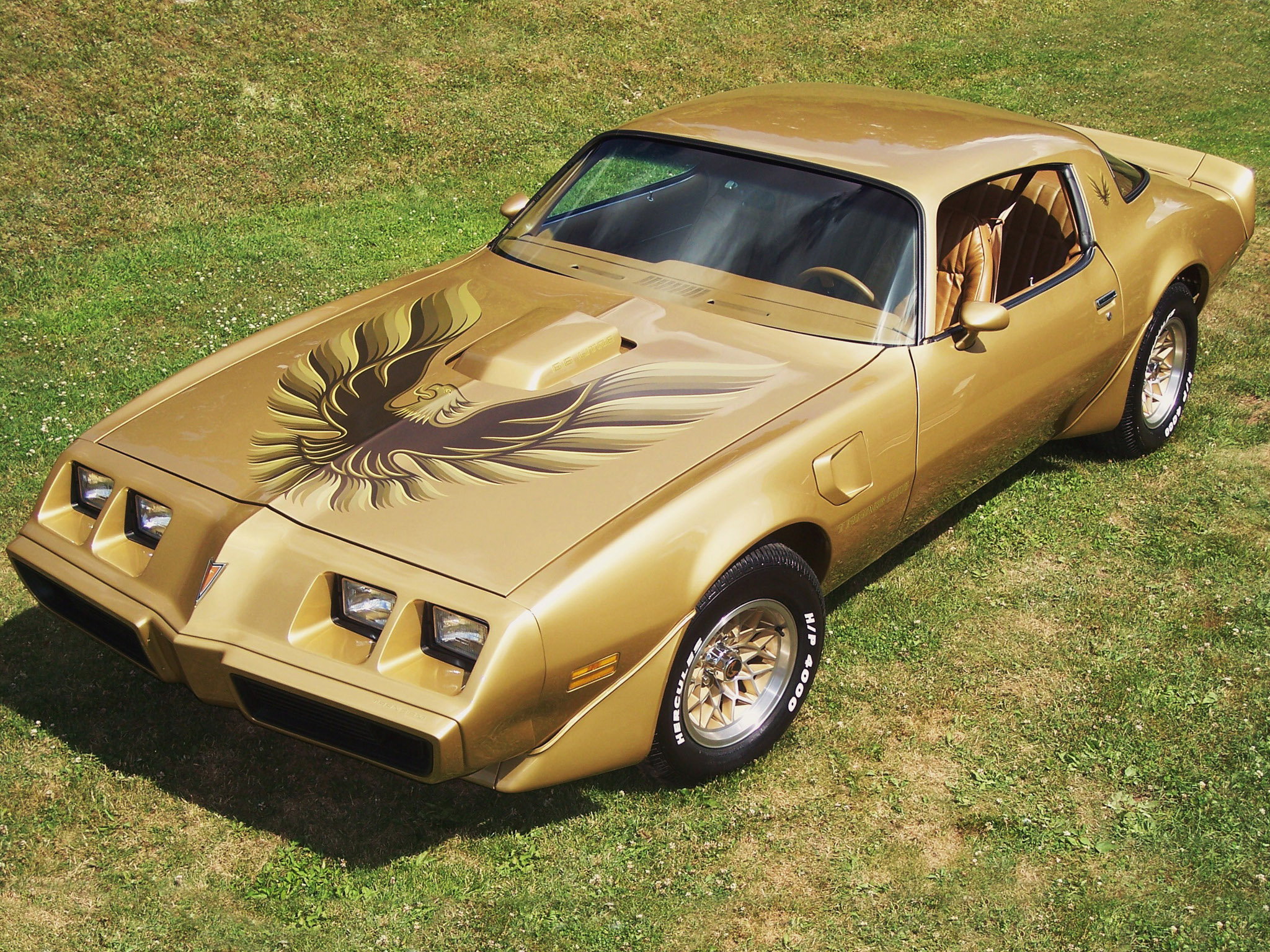 pontiac-firebird_760103.jpg