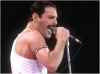 freddie mercury