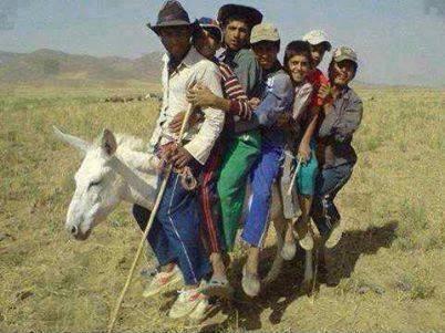 bir eşeğe 7 kişi binmek #563317 - uludağ sözlük galeri