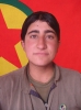 pkk silahlı kuvvetleri