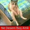 diyarbakır ın iğrenç bir yer olması / #742520