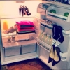 dolapta giyecek bir sey bulamamak / #670222