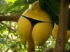 en seksi meyvenin limon olması
