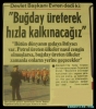 buğday üreterek kalkınacağız / #901787