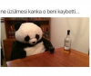 gecenin pandası