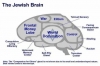 sözlük yazarlarının beyinleri