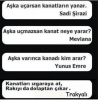 mevlana yunus emre ve şirazi atışması / #633951