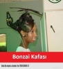 bonzai kafası