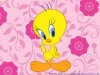 tweety isimli sarı kuşun erkek olduğu gerçeği / #616386