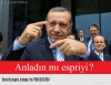 mars ta karınca bulunması / #763322
