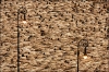 spencer tunick / #740939