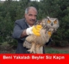 entry yazmak yerine sadece caps atmak / #877283