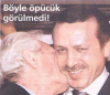başbakanın sempatik resimlerini kullanın / #562958
