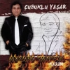 ayı yaşar / #781808