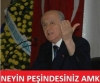 hoşlanılan hamamböceğini başka evde yakalamak / #897206