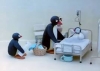 pingu