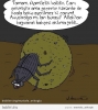 bok böceklerinin yuvarlayarak gitmesi / #587834
