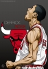 derrick rose / #887311