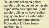 imam ı rabbani / #870334