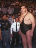 andre the giant / #624793