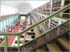 kütüphane