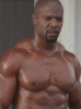 terry crews / #688083