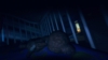 among the sleep / #797576