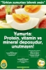 günde 1 yumurta kıran kazanır / #981299