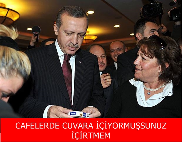 tay tv sonuçları zenci konulu porno