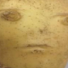 allah diyen patates