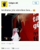 onlar koyun dedikçe biz koyuyoruz / #840124