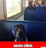 evdeki oyuncak ayının gece 4 te gezdiğini görmek / #890027