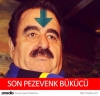 son pezevenk bukucu