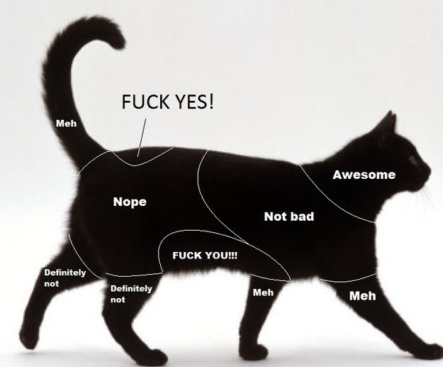 kedi nasıl sevilir uludağ sözlük