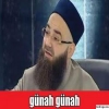 rakı balık parliament türkü uludağ sözlük / #890173