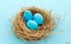 mavi yumurta