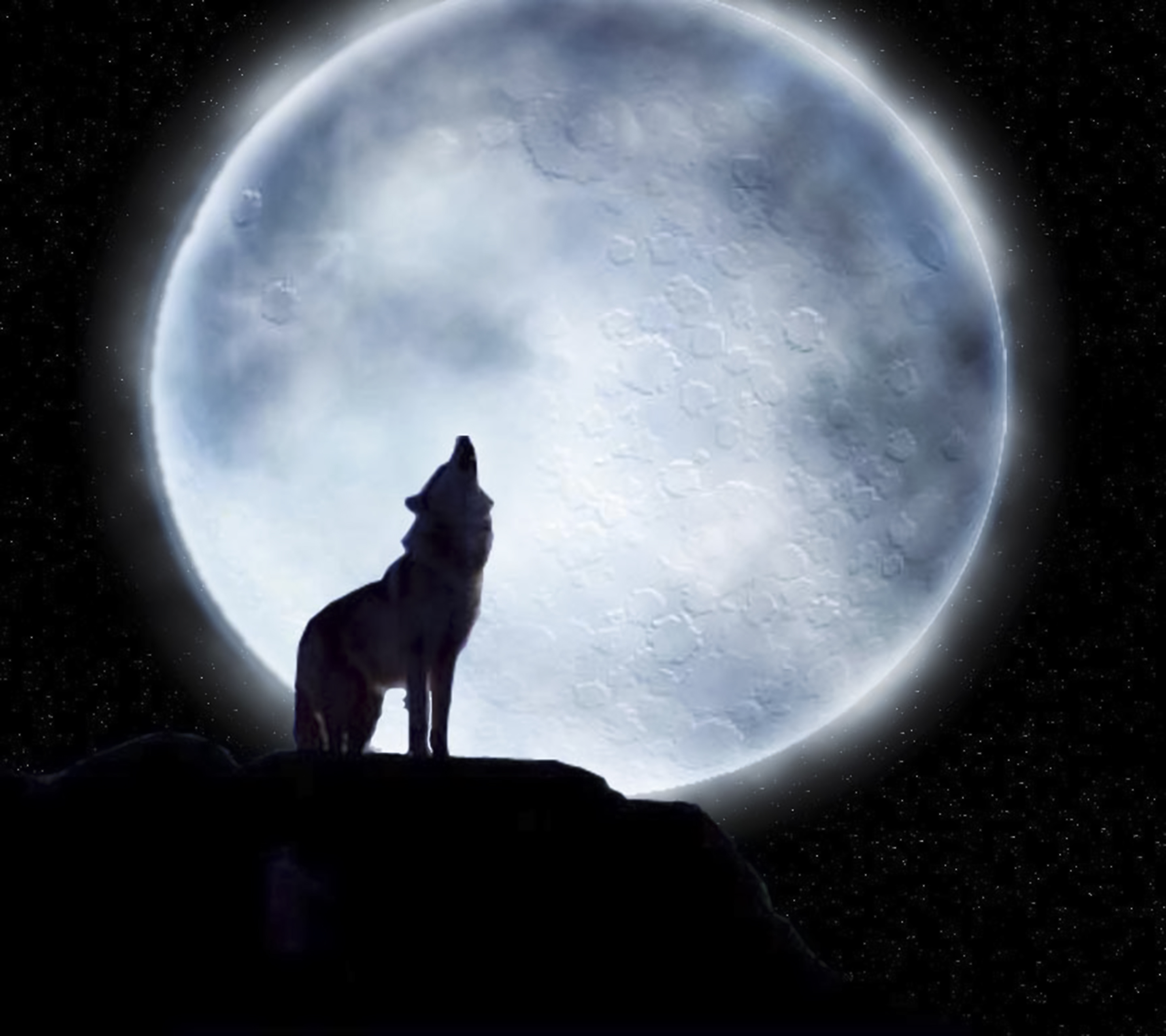 Вой волка на луну песня. Волк и Луна. Волк воет на луну. Собака воет на луну. Воющий волк.