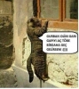 içki içen kocasını eve almayan kadın / #876722