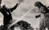 king kong un pipisi nerede sorunsalı / #558507