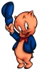 porky pig / #558907