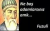 milyonlarinbacisi nin uludağ sözlük yazıp koyması / #882532