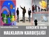 yalnız solcuların anlayabileceği şeyler / #693994
