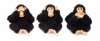 üç maymun