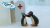 pingu