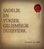 sadelik en yüksek gelişmişlik düzeyidir / #699370