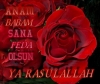 hz muhammed i sevmeyenleri allah a havale ediyoruz / #568350