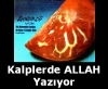 her insanın kalbinde allah yazması / #573265