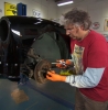 edd china