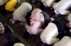 namaz kılan babanın sırtına binmek / #685935