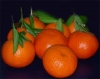yenilen mandalinanın çekirdekli çıkması / #934874